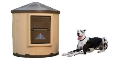 Image showing 8 th Dog Palace CRB Palace Premium Insulated Outdoor Plastic Dog House