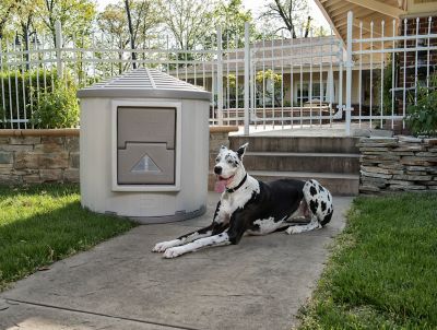 Image showing 5 th Dog Palace CRB Palace Premium Insulated Outdoor Plastic Dog House