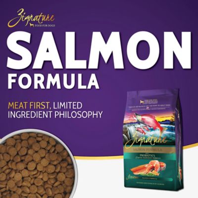 Image showing  All Life Stages Salmon Formula Dry Dog Food with Probiotics