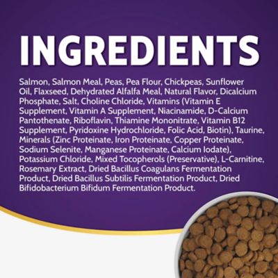 Image showing  All Life Stages Salmon Formula Dry Dog Food with Probiotics