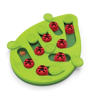 Petstages Buggin Out Puzzle & Play 14 Treat Compartment Interactive Cat Game Toy