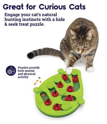 Image showing  Buggin Out Puzzle and Play 14 Treat Compartment Interactive Cat Toy