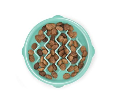 Image showing  Fun Feeder Slow Feed Polypropylene Slo-Bowl Dog Feeder
