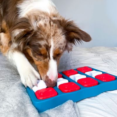 Image showing  Brick Puzzle Interactive Dog Toy