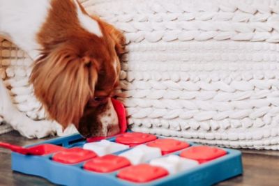 Image showing  Brick Puzzle Interactive Dog Toy