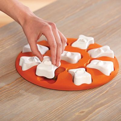 Image showing  Smart Interactive Dog Toy Puzzle