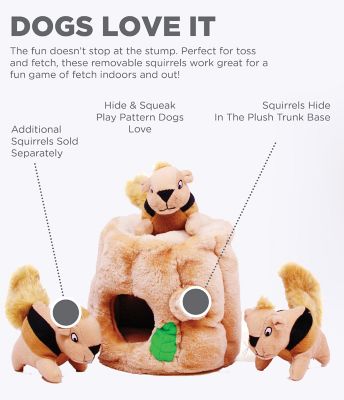 Image showing 5 th Outward Hound Hide-A-Squirrel Puzzle Plush Dog Toy
