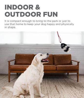 Image showing 5 th Outward Hound Tail Teaser Wand Interactive Dog Toy