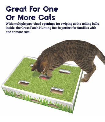 Image showing  Grass Patch Hunting Box Jingle Balls Interactive Cat Toy