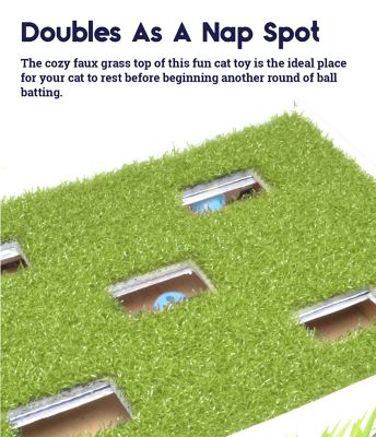 Image showing  Grass Patch Hunting Box Jingle Balls Interactive Cat Toy