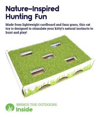 Image showing  Grass Patch Hunting Box Jingle Balls Interactive Cat Toy