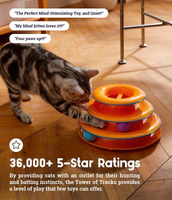 Image showing  3-Level Tower of Tracks Interactive Cat Toy