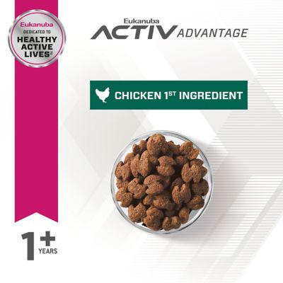 Image showing  Adult Fit Body Weight Control Small Breed Dry Dog Food