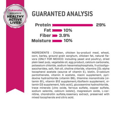 Image showing 5 th Eukanuba Adult Fit Body Weight Control Small Breed Dry Dog Food