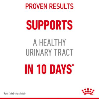 Image showing  Urinary Care Adult Chicken Recipe Dry Cat Food
