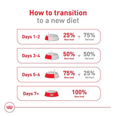 Image showing 8 th Royal Canin Feline Care Nutrition Urinary Care Adult Dry Cat Food