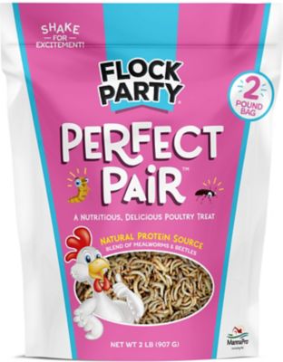 Flock Party Perfect Pair Mix Chicken Treats, 2 lb.