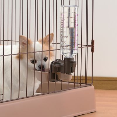 Hot water bottle in puppy crate hotsell