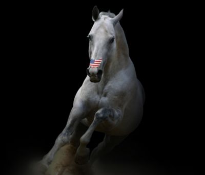 Image showing  Equine Nasal Strips, USA Flag, 6-Pack