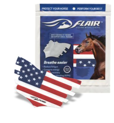 Image showing  Equine Nasal Strips, USA Flag, 6-Pack