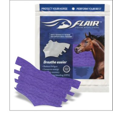 Image showing 1 th Flair Equine Nasal Strip, Purple Single Strip