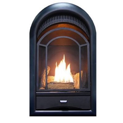 ProCom 16 in. Dual-Fuel Ventless Gas Fireplace Insert, Arched Door, T-Stat Control, 10,000 BTU
