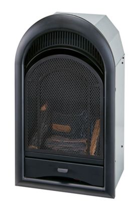 Image showing  Dual-Fuel Indoor Ventless Gas Fireplace Insert, 16 in., Arched Door, T-Stat Control, 10,000 BTU