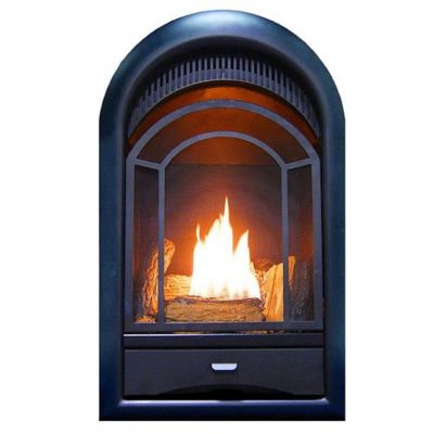 ProCom 16 in. Dual-Fuel Ventless Gas Fireplace Insert, Arched Door, T-Stat Control, 15,000 BTU