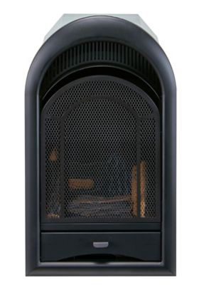 Image showing  Dual-Fuel Indoor Ventless Gas Fireplace Insert, Arched Door, 15,000 BTU, T-Stat Control