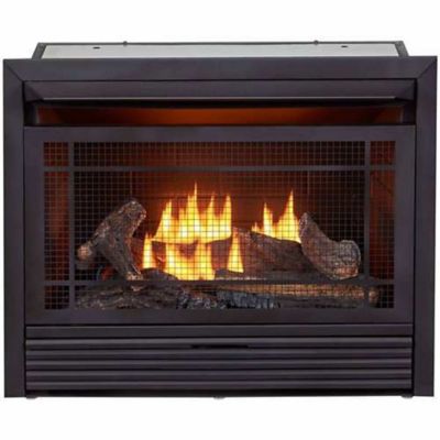 Duluth Forge 29.1 in. Dual-Fuel Ventless Gas Fireplace Insert, 26,000 BTU, T-Stat Control