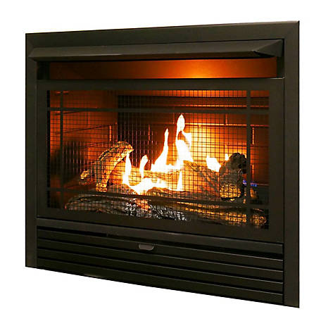 Duluth Dual Fuel Ventless Gas Fireplace, Gas Log Fireplace Insert With Remote Control