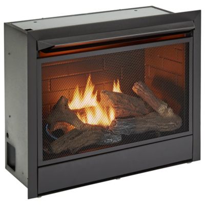 Image showing  Dual-Fuel Indoor Ventless Gas Fireplace Insert, 26,000 BTU, Remote Control