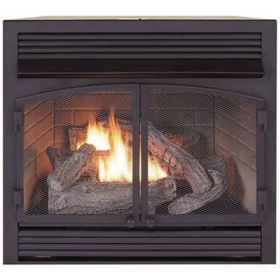 Duluth Forge Dual-Fuel Indoor Ventless Gas Fireplace Insert, 32,000 BTU, T-Stat Control