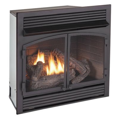 Image showing  Dual-Fuel Indoor Ventless Gas Fireplace Insert, 32,000 BTU, T-Stat Control