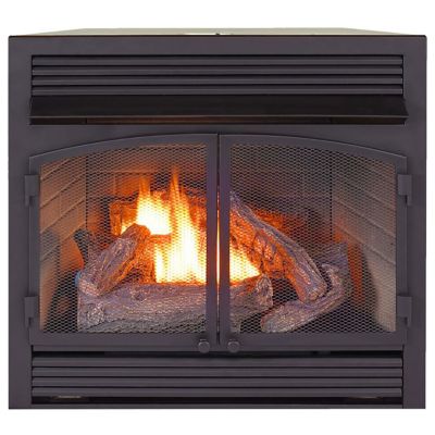 Procom Dual Fuel Ventless Gas Fireplace Insert 179221 At Tractor Supply Co