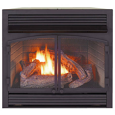 Procom Dual Fuel Ventless Gas Fireplace, Ventless Gas Fireplace Insert With Remote