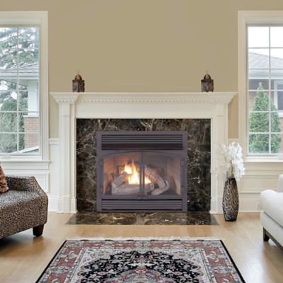 Image showing  Dual-Fuel Indoor Ventless Gas Fireplace Insert, 32,000 BTU, Remote Control, 170112