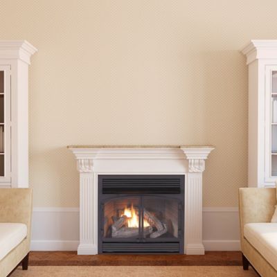 Image showing  Dual-Fuel Indoor Ventless Gas Fireplace Insert, 32,000 BTU, Remote Control, 170112