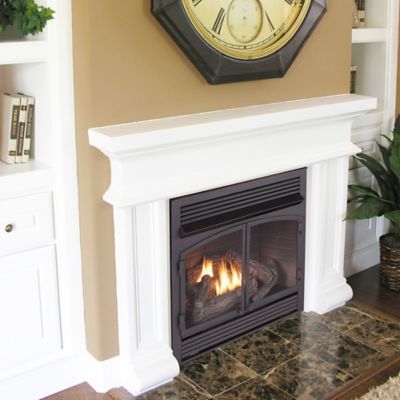 Image showing 5 th Duluth Forge Dual-Fuel Indoor Ventless Gas Fireplace Insert, 32,000 BTU, Remote Control, 170112