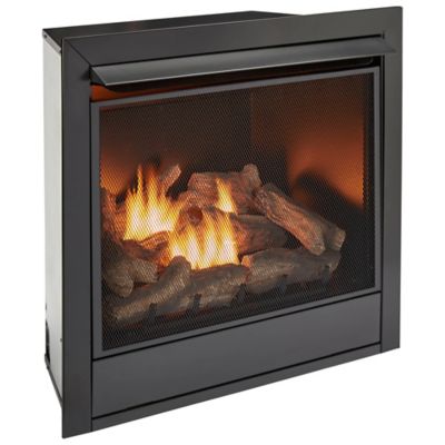 Image showing  Dual-Fuel Indoor Ventless Gas Fireplace Insert, 32,000 BTU, Remote Control, 170038
