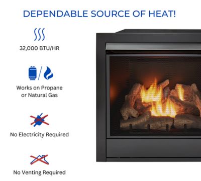 Image showing 7 th Duluth Forge Dual-Fuel Indoor Ventless Gas Fireplace Insert, 32,000 BTU, Remote Control, 170038