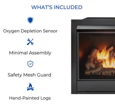 Image showing 8 th Duluth Forge Dual-Fuel Indoor Ventless Gas Fireplace Insert, 32,000 BTU, Remote Control, 170038