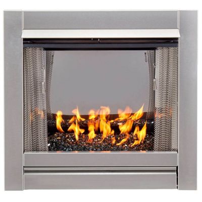Bluegrass Living Ventless Outdoor Stainless Steel Gas Fireplace Insert, 170375
