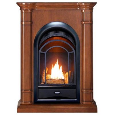 ProCom 27.75 in. Dual-Fuel Ventless Gas Fireplace System