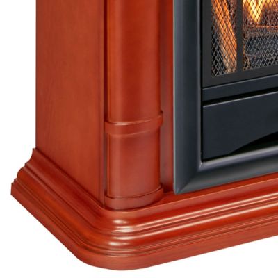 Image showing 6 th ProCom Dual-Fuel Indoor Ventless Gas Fireplace System, 27.75 in.