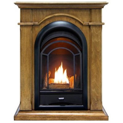 ProCom Dual Fuel Ventless Gas Fireplace System - 10,000 BTU, T-Stat Control, Toasted Almond Finish - Model# FS100T-TA