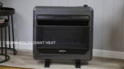 Image showing  Dual Fuel Ventless Blue Flame Garage Heater, 1,000 sq. ft., 30,000 BTU, T-Stat Control