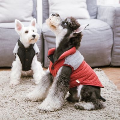 Image showing  Furr-ostbite Fashion Dog Jacket
