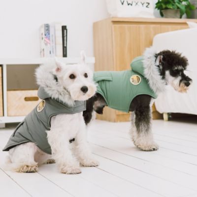 Image showing  Eskimo-Swag Duck-Down Parka Dog Coat