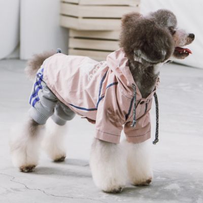 Image showing 4 th Touchdog Cloudburst Reversible Waterproof Dog Raincoat